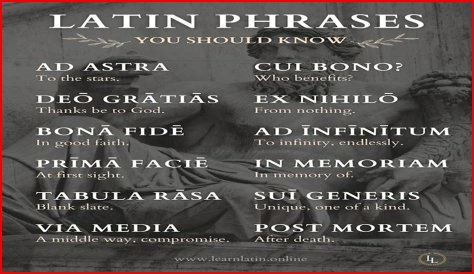 A Profile Of A Latin Beauty