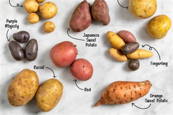 Is a potato a whole meal?