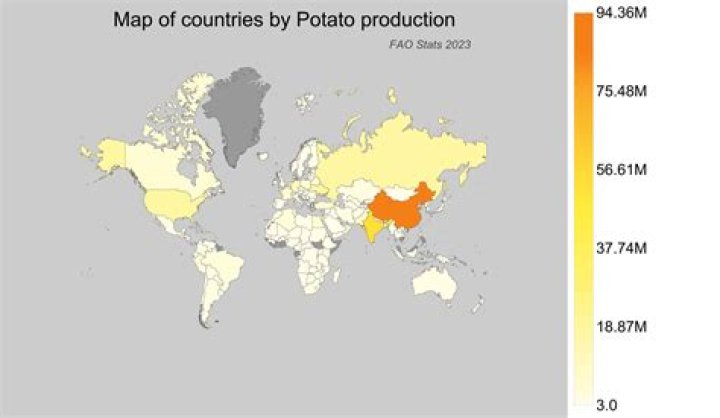 What are the top ten potato producing countries?