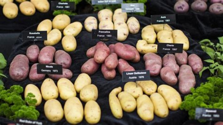 Where are most potatoes grown in Australia?