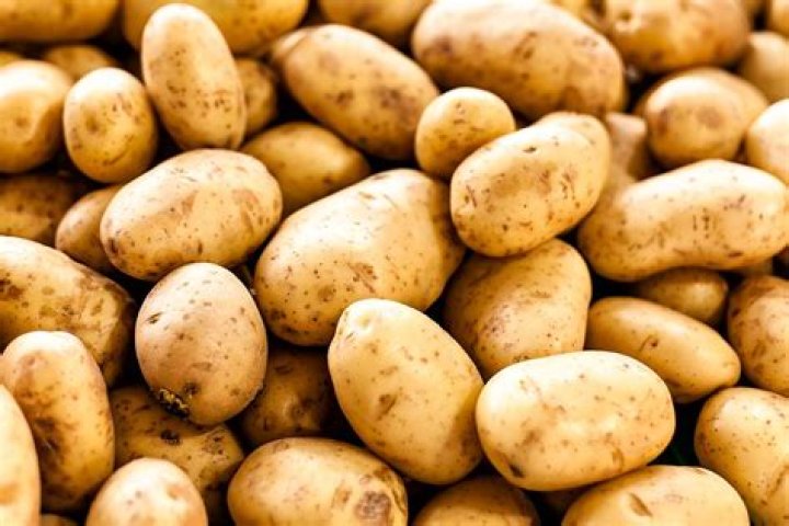 Which describes a characteristic of good quality potatoes?